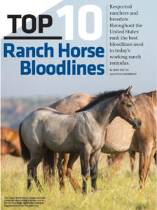 Top 10 Ranch Horse Bloodlines