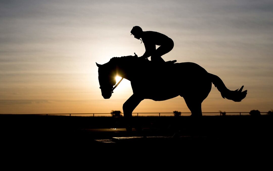 2013 AQHA Racing Champions Announced
