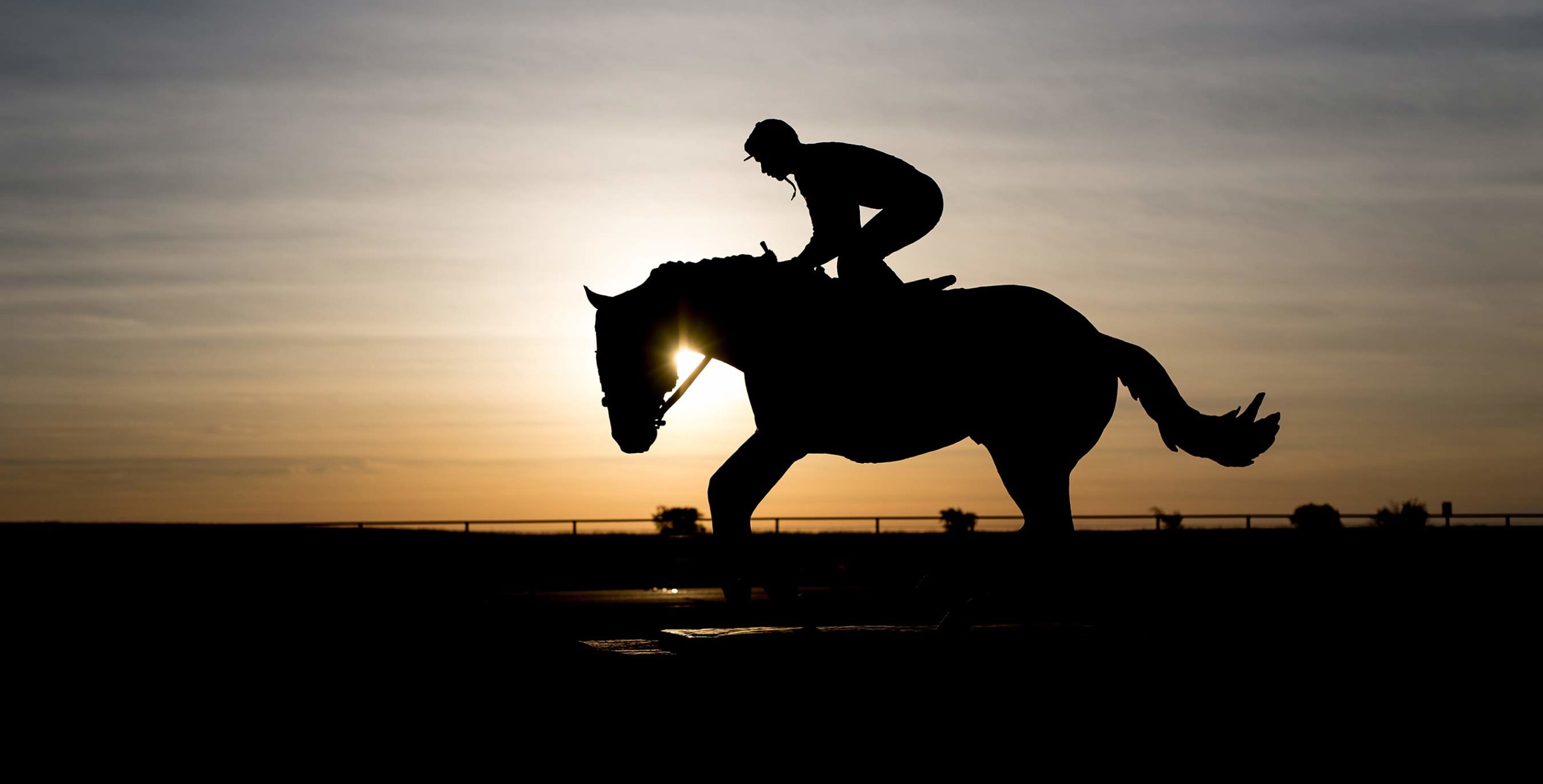 home-staging_01 6666 Ranch Sculpture Heritage Pedigree