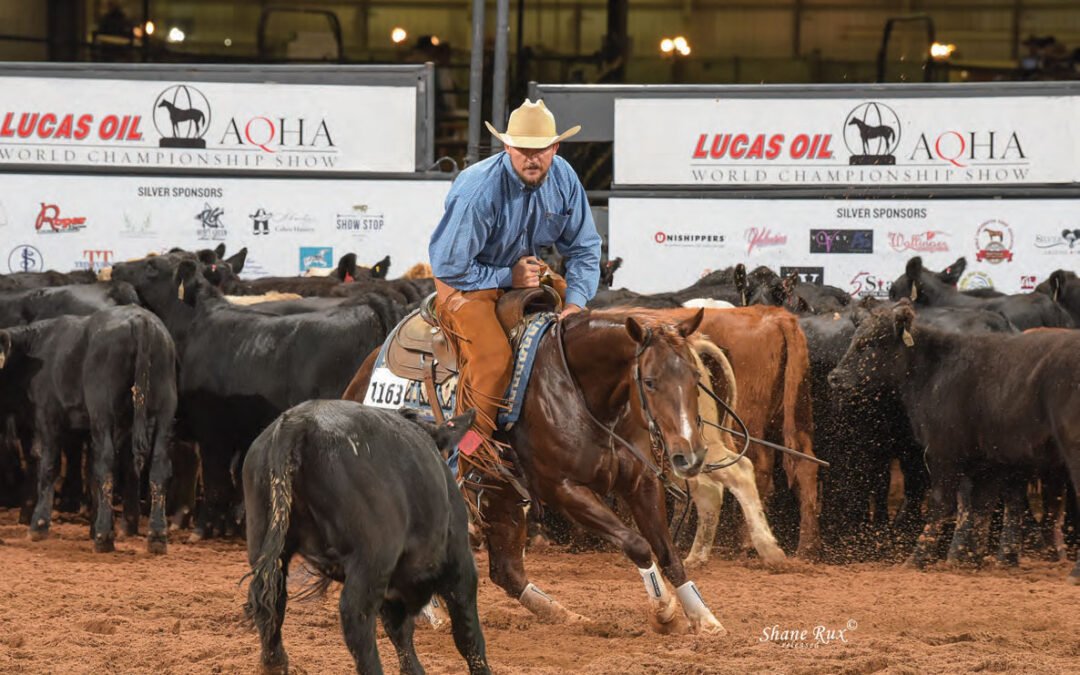 Standard of Excellence