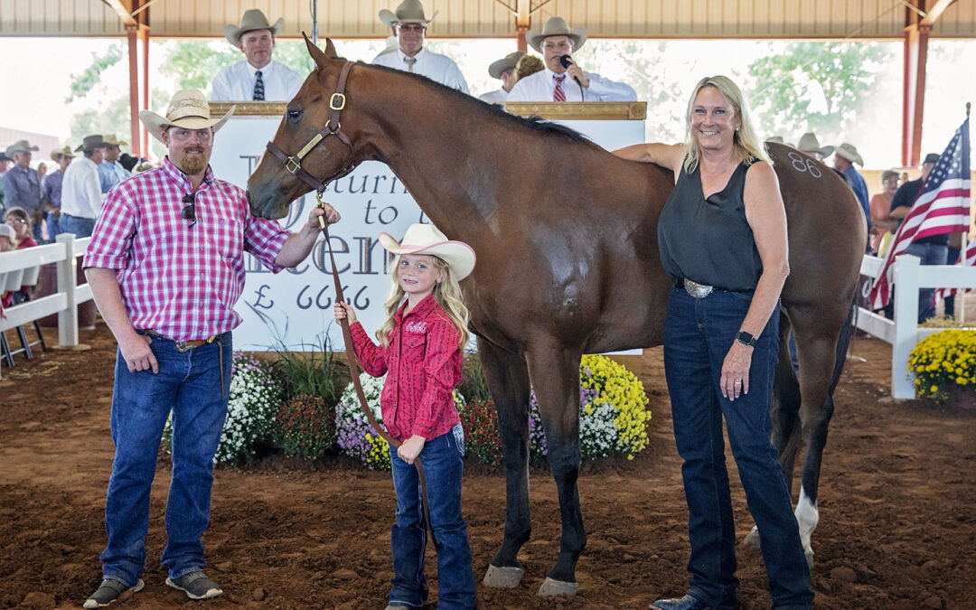 Return to the Remuda sets record for highest ranch gelding sold at auction