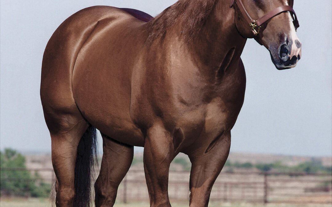 2013 NRCHA Celebration of Champions