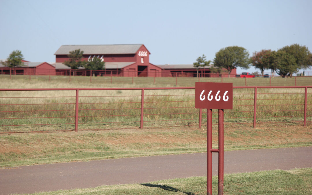 Finding Success in Tradition