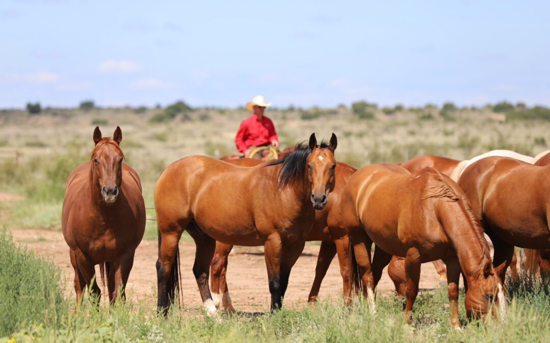 2013 Road To Victory