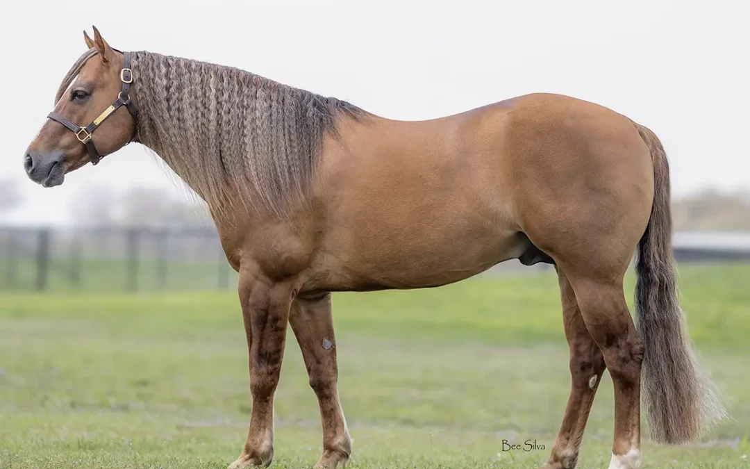 Walla Walla Starbuck