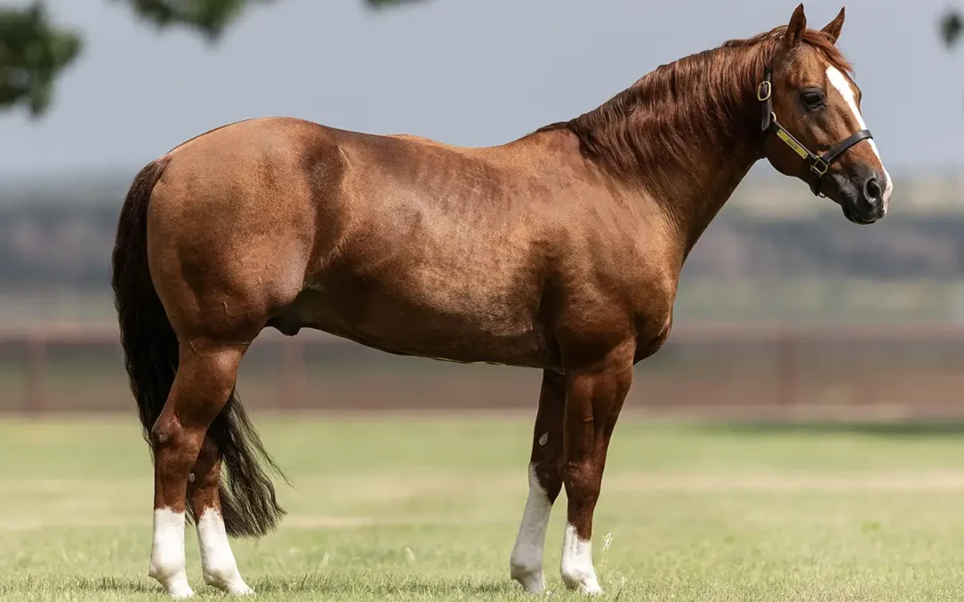 Metallic Masterpiece