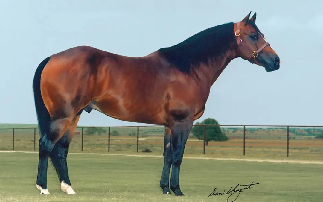 Paddys Irish Whiskey