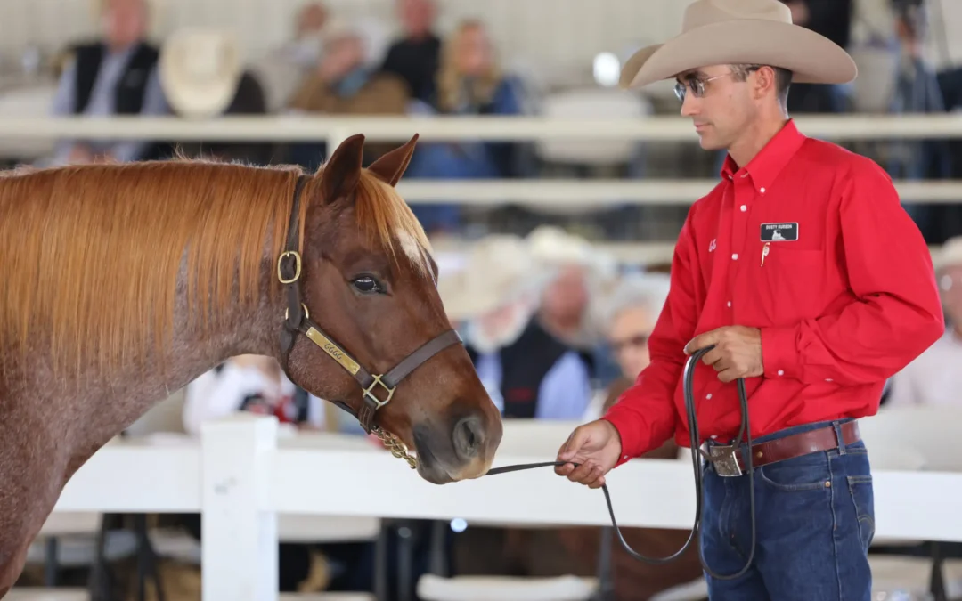 Reunite at the Return to the Remuda Sale