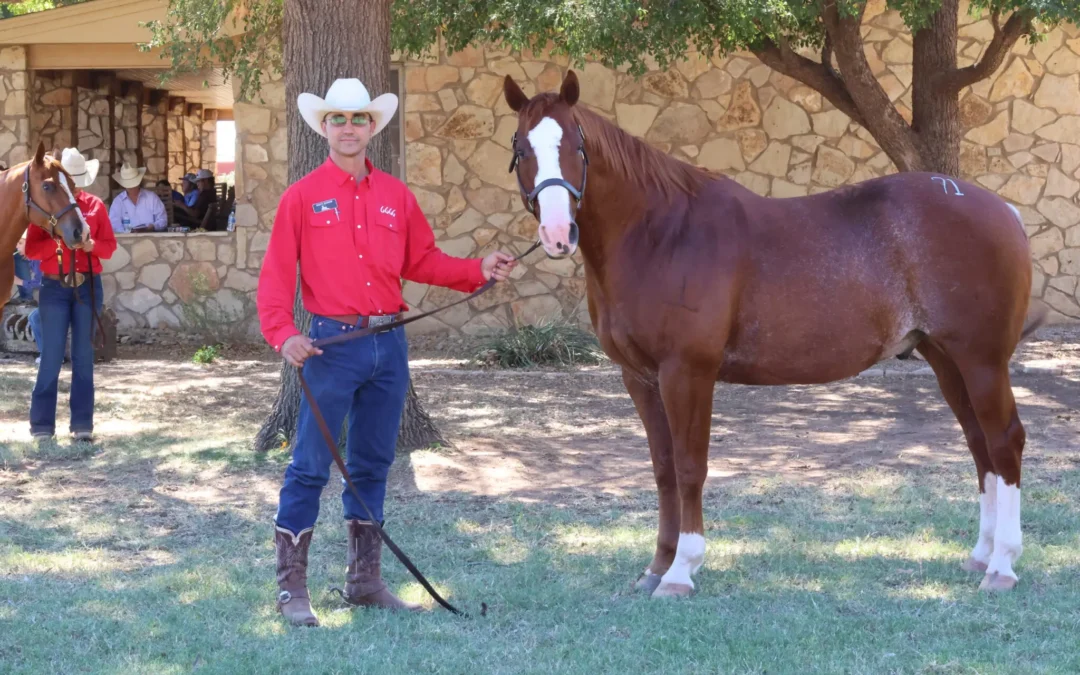 Record-Breaking Success at the 25th Return to the Remuda Sale