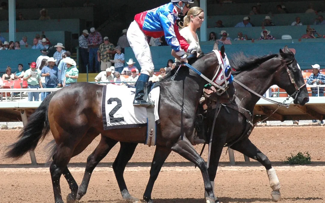 Grade 1 Performer and Grade 1 Stakes Sire Captain Courage Euthanized