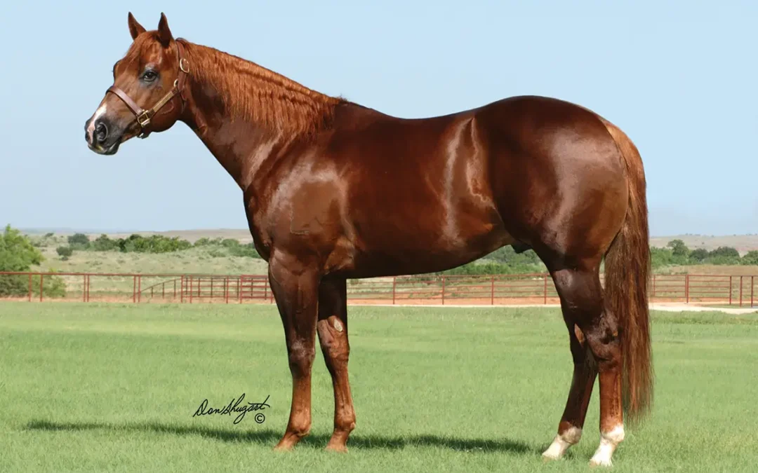 Legendary Stallion Sixes Pick Euthanized Due to Colic