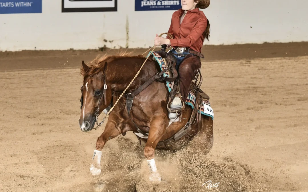 AQHA VRH World Top Ranching Heritage-Bred Horses
